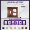 ENERLITES Combination Toggle Switch and Duplex Receptacle Metal Wall Plate,