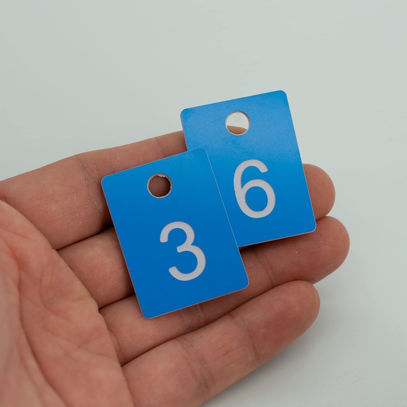 ABS Plastic Rectangular License Plates with Hole (1-50, Blue)