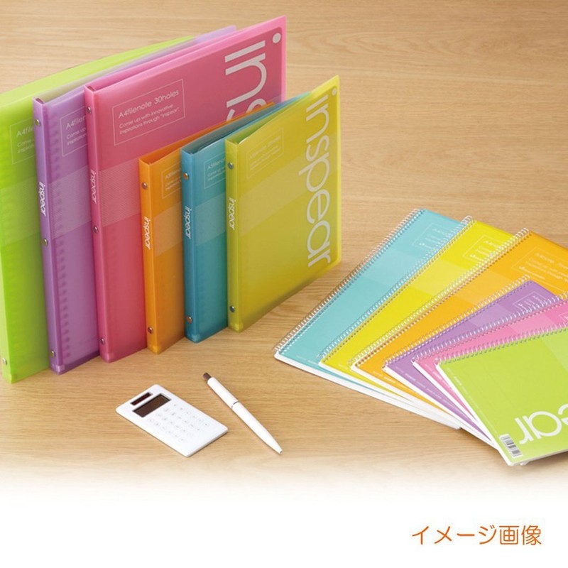 Maruman B5 File Notebook, Inspiration, Green, F017-03