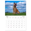 Malinois Magic: The Belgian Powerhouse (Monthly Wall Calendar 2026 11.7"