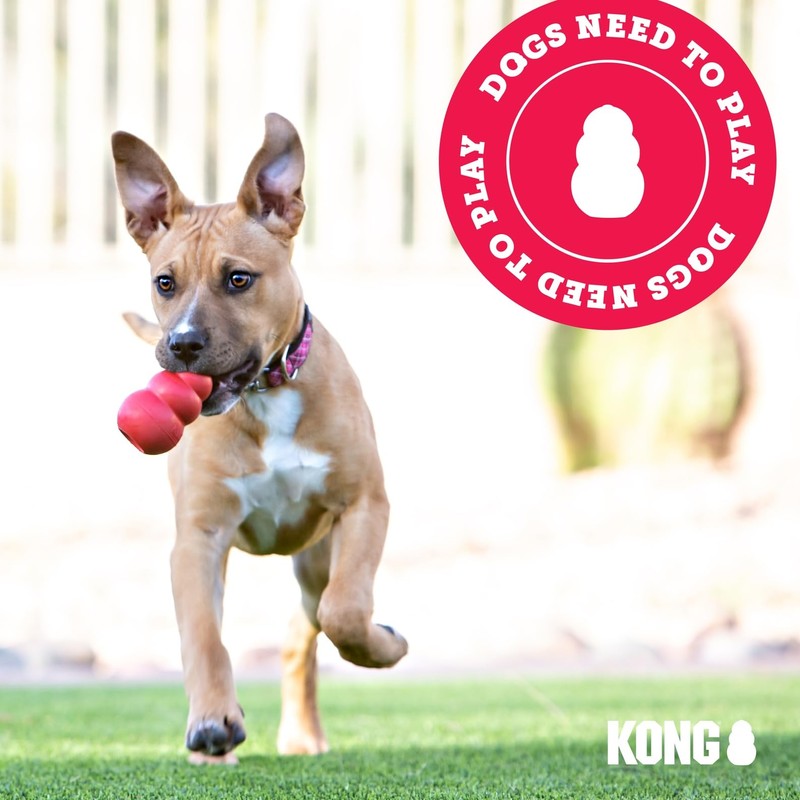 KONG Puppy - Natural Teething Rubber Chew Toy for Dogs
