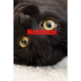 Notebook: Black Cat (Diary, Notebook)