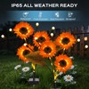 TANSOREN 2 Pack Solar Garden Lights Outdoor, 8 Lighting Modes