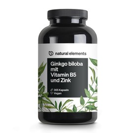 Ginkgo Biloba - Optimal Dose with 3750 mg per Capsule (50:1 Extract) - 365 Capsules - With Vitamin B5 & Zinc - Vegan, No Unnecessary Additives - Produced in Germany & Laboratory Tested