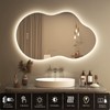 SMIROR Asymmetrical Backlit Bathroom Mirror with Lights 24 x 36,