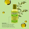 Hollywood Beauty Olive Hair Oil, 2 oz - Fights Hair