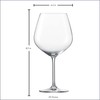 SCHOTT ZWIESEL Forté Burgundy Goblet (Set of 6), Burgundy Glasses