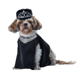 California Costumes Pet Barkfest At Sniffany'S Dog Costume