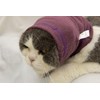 DDFS Cat Ear Wrap (2 Pack), Keep Calm Head Cover