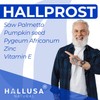 Prostate Supplements hallprost. Prostate Infection. Saw Palmetto. The Most Recommended