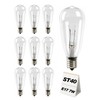 Adirxon 10-Pack ST40 Light Bulbs for Outdoor String Lights, Durable