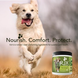 NUSENTIA Joint Health Supplement for Dogs, RJX Powder (144 G) - Extra Strength Glucosamine, Chondroitin, MSM