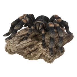 Hi-Line Gift Ltd Tarantula, 3.54 Inch Height, Black, Polyresin Animal Statue