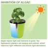 Kratky Method Hydroponic Planter Kit, 8 Hydroponic Planter Plus 24