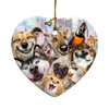 GRAPHICS & MORE Pet Animals Selfie Dogs Cats Rabbit Hamster