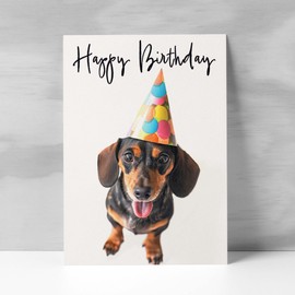 Postcard Prints - Birthday Card For Her Card For Friend Mum or Sister Birthday Card For Him Brother Dad Happy Birthday Card of Dachshund Dog Fun Birthday Card