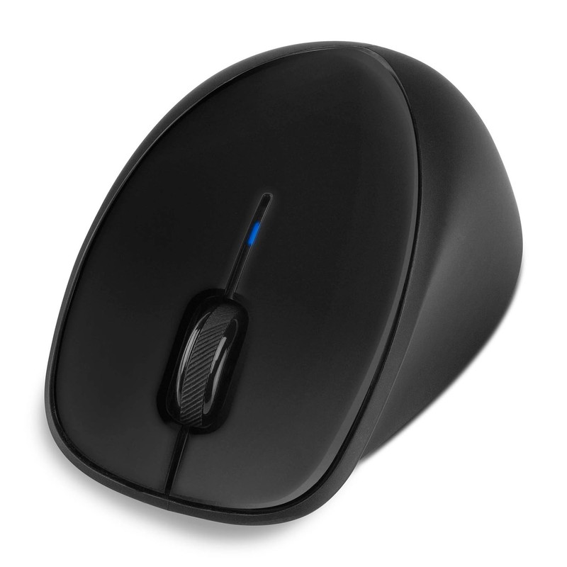 Hewlett Packard HP Wireless Mouse Comfort Grip (H2L63AA) Negro