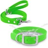 Regal Dog Products Medium Light Green Waterproof Dog Collar and