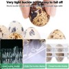 FIGFYOU Pack of 50 Quail Egg Boxes, Egg Boxes, Quail,