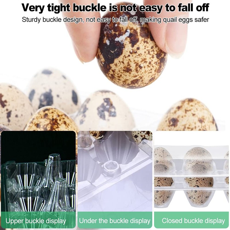 FIGFYOU Pack of 50 Quail Egg Boxes, Egg Boxes, Quail,