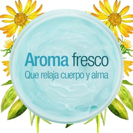Crema Corporal Vegana Bcl Spa De Masaje Árnica + Aloe 64 Oz