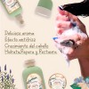 Kit Shampoo+mascarilla+acondiciona Fresco Y Purificante Yuya
