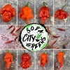 Soda City Greens Reapion (Reaper x Scorpion Hybrid) Hot Pepper