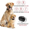 Extra Small Size Dog Shock Collar for Training Small Dogs