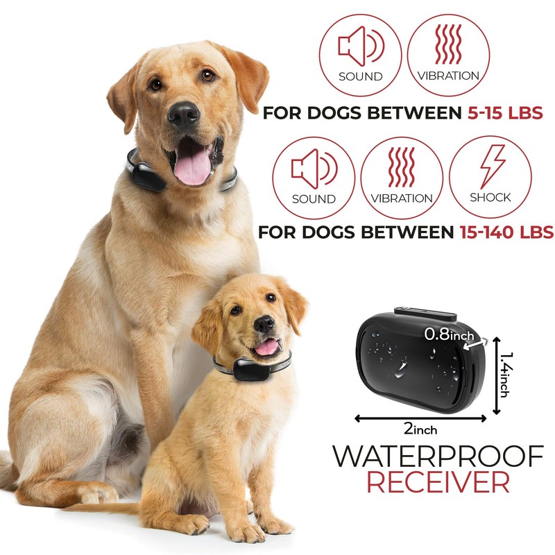 Extra Small Size Dog Shock Collar for Training Small Dogs
