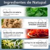 Parches Wellness, Parches Adelgazantes De Ingredientes