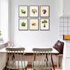 Vegetable Wall Art Prints Set of 6 Botanical Illustrations for