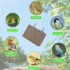 Bird Perch Parrot Toy Cardboard Paper Parakeet Perch Stand Nail