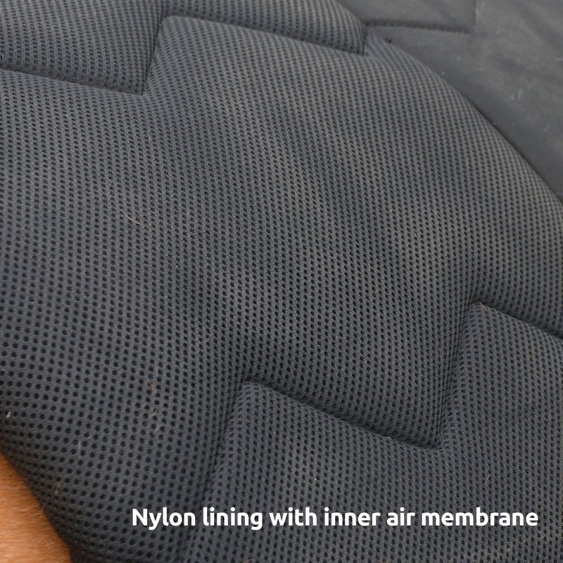 Arctic Shield Heavyweight Turnout Blanket (88)