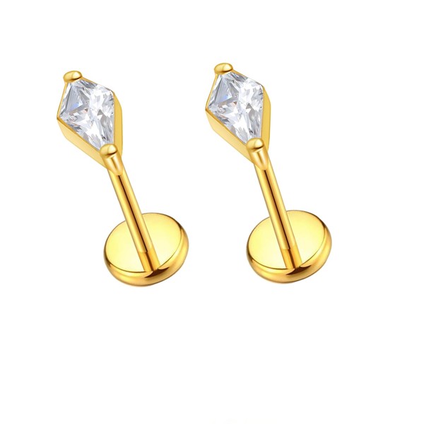 G23 Titanium 16g 18g 20g Flat Back Studs Earrings |
