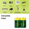GoGreen Power (24004) Eco Friendly Alkaline D Batteries - No