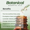Essential Oils Set (Eucalyptus, Lavender, Lemongrass, Peppermint, Tea Tree, Orange)