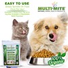 PLAQUE OUT Pouch Tartar Plaque Off Remover, 100% Natural &