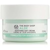 Crema de día relajante de Aloe de The Body Shop,