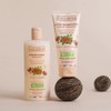 Shea Delight Shampoo (400 ml)
