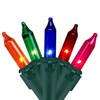 Northlight Mini Incandescent Christmas Lights - Multi-Color - 4' Green