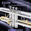 ALLSET Bb Standard Trumpet for Beginners | Student Band, Orchestra,