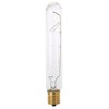 Qty 1 40 Watt 40W Incandescent 2700K Clear Refrigerator Freezer