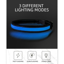 COMOIL Waterproof Led Dog Collar, USB Rechargeable Light Up Dog Collar，Adjustable Fit Glow Collar for Walking, Jogging and Running at Night(Blue XXS)