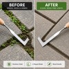 Stainless Steel Crack Weeder with Wood Handle – 11-Inch L-Shaped