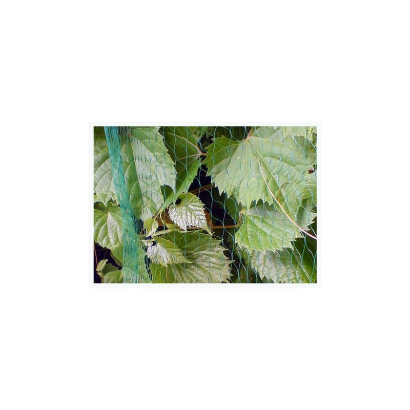 Bird Protection Netting Plant Protection Net – Various Sizes Available,