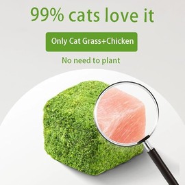 Meowly 110g Cat Grass Treats for Teeth Cleaning and Hairball Removal, Natural Dried Cat Grass Teething Stick Snacks for Cats