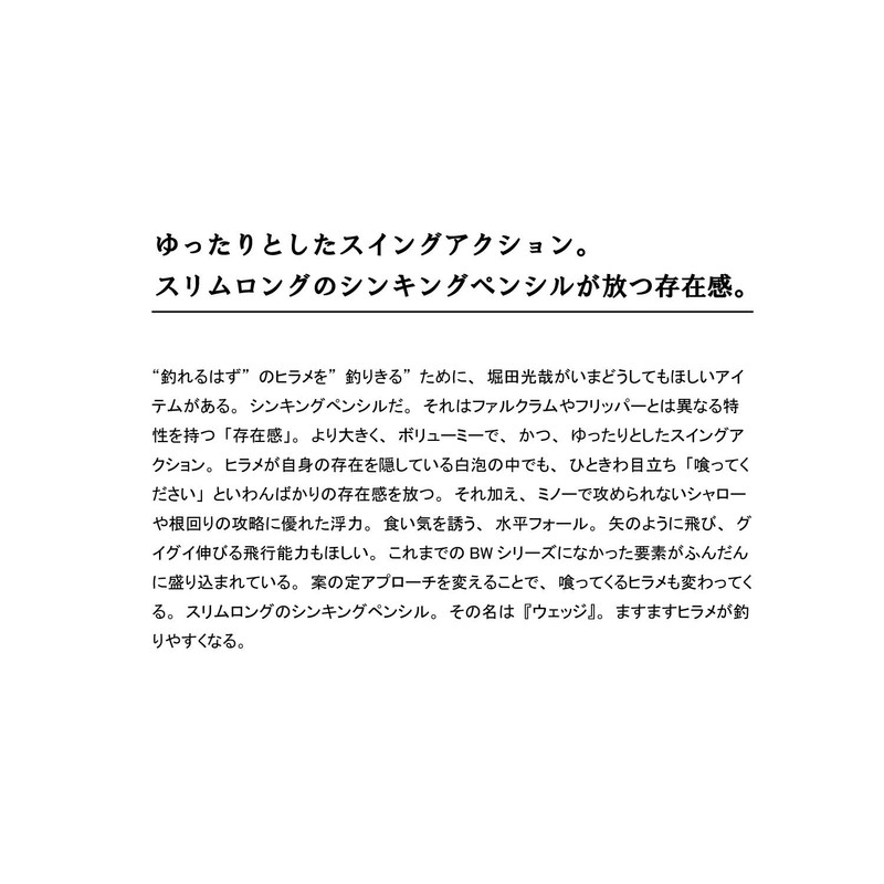 Duo CQA0280 Beachwalker Wedge 120S, 1.3 oz (38 g), Flounder