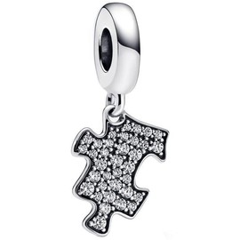 ZURWTCH One Piece Sparkling Puzzle Piece Dangle Charm Fit Women Bracelet Necklaces Fashion Gifts 925 Sterling Silver DIY Jewelry