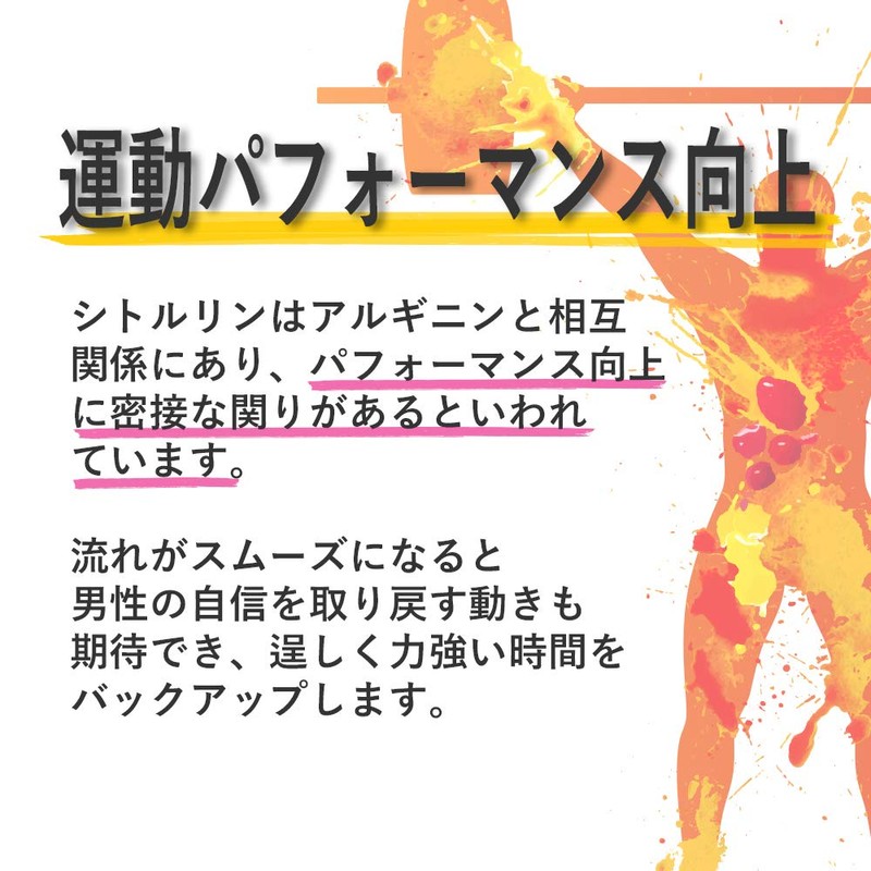 【リプサ公式】 シトルリン 約3か月分 C-194 アミノ酸 サプリメント