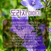 Mom's Aeson Bellflower Hwan 500g Domestic / 엄마애손 도라지환 500g